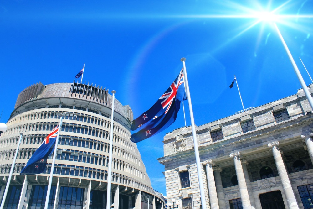 Treaty Principles Bill: ACT’s Proposed Reforms Explained